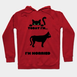 Cat feel worried Hoodie